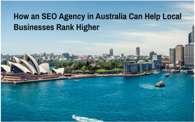 SEO Agency